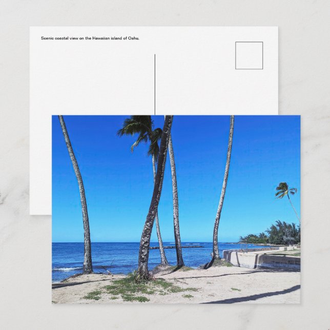 Hawaiian Postcard (Front/Back)