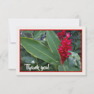 Hawaiian Red Flower Thank You Card
