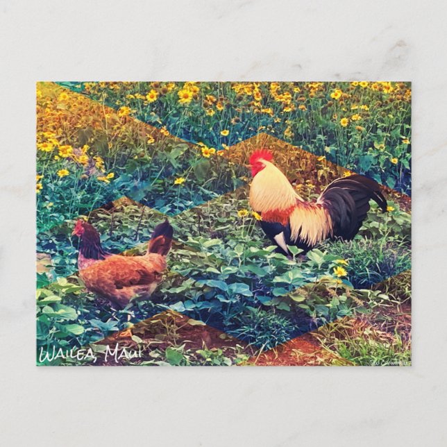 Hawaiian Rooster Postcard (Front)
