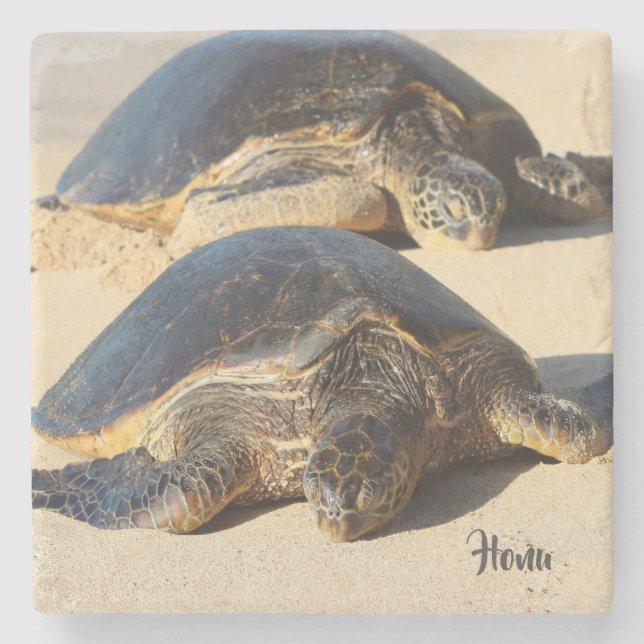 Hawaiian Sea Turtle Coaster (Front)