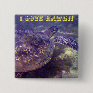 Hawaiian sea turtles 2 inch square button
