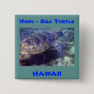 Hawaiian sea turtles 2 inch square button
