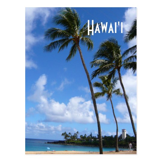 Hawai'ian Skyscrapers Postcard