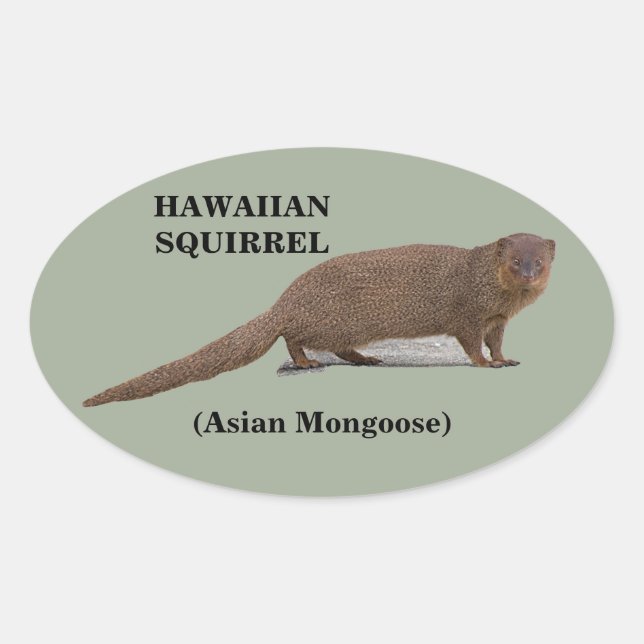 Hawaiian Squirrel (Asian Mongoose) Oval Stickers (Front)