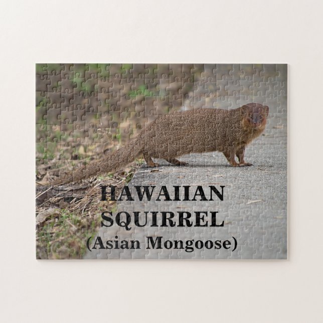 Hawaiian Squirrel (Asian Mongoose) Photo Puzzle (Horizontal)