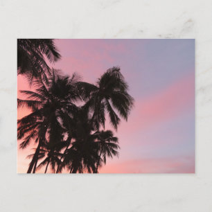 Hawaiian Sunrise at Waikiki Beach Postcard