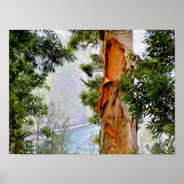 Hawaiian Trees Poster (Front)