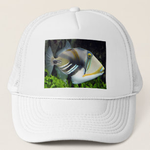 Hawaiian Tropical Fish Hat