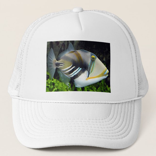 Hawaiian Tropical Fish Hat (Front)