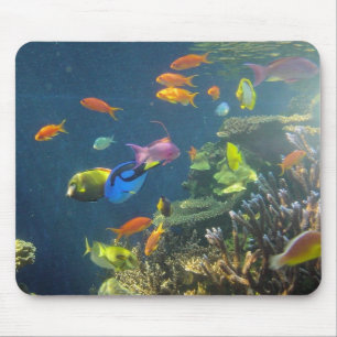 Hawaiian Tropical Fish Mouse Pad