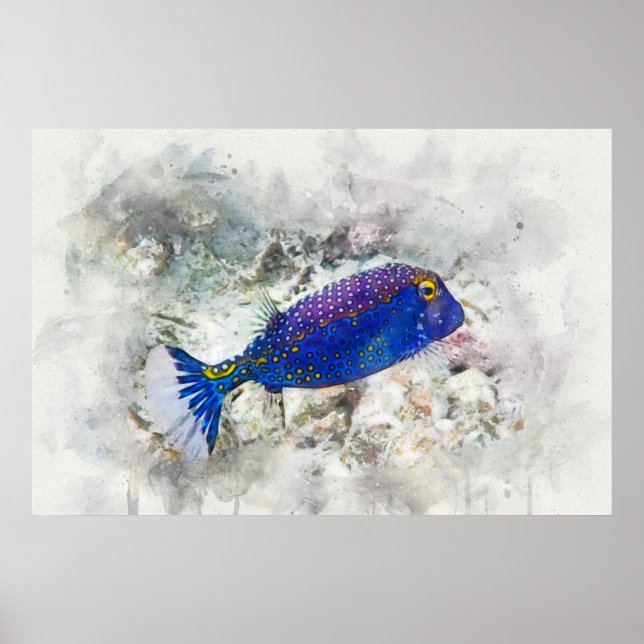 Hawaiian Tropical Fish Watercolor - Boxfish Poster (Front)