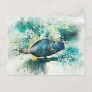 Hawaiian Tropical Fish Watercolor - Filefish Postcard