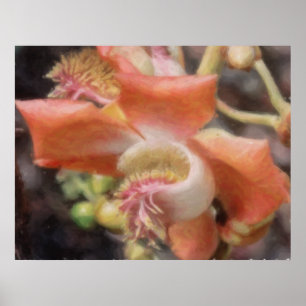 Hawaiian Tropical Flower Poster