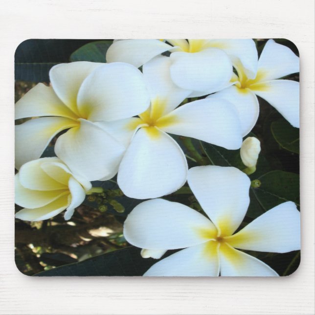 Hawaiian tropical flowers mouse pad (Front)