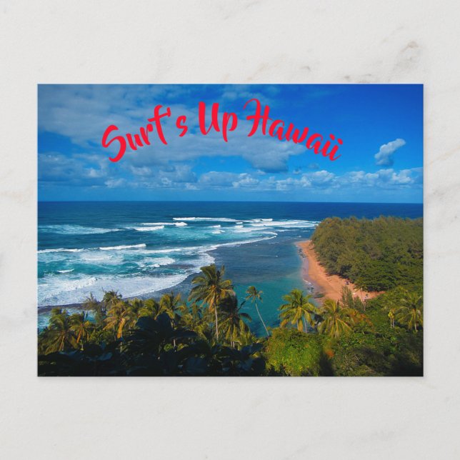 Hawaiian Tropical Island Postcard (Front)