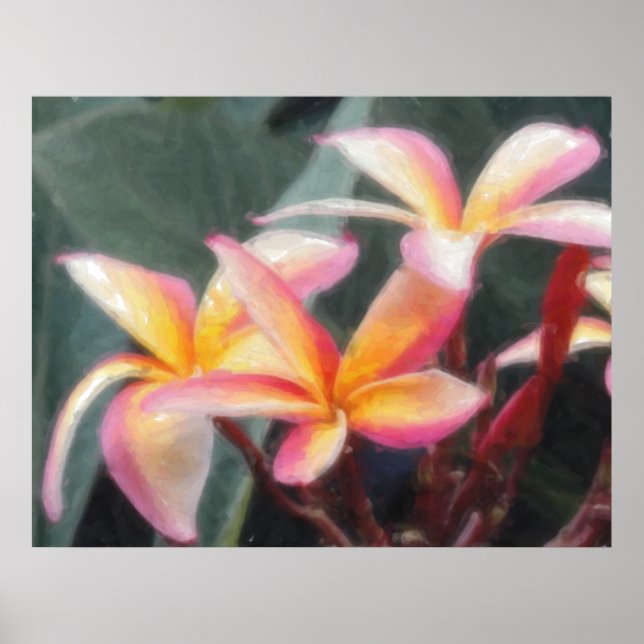 Hawaiian Tropical Plumeria Poster (Front)