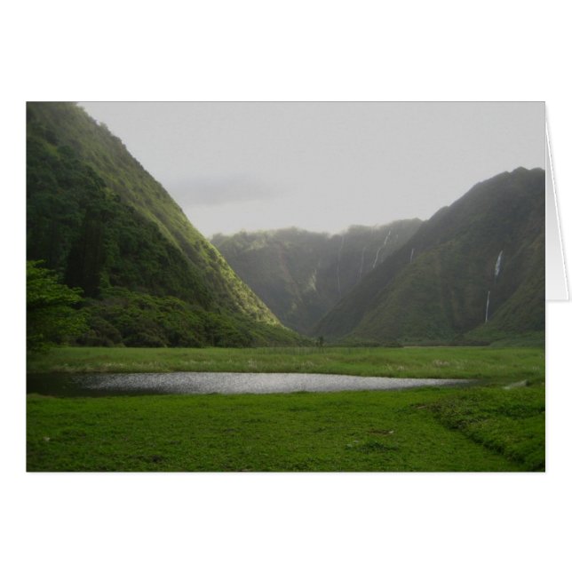 Hawaiian Valley (Front Horizontal)