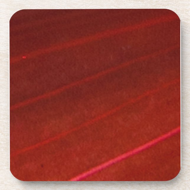 Hawaiian Variegated Red Leaf 4 Coaster (Front)