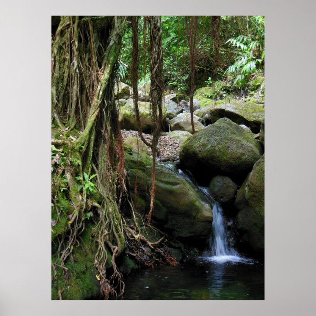 Hawaiian Waterfall Poster (Front)