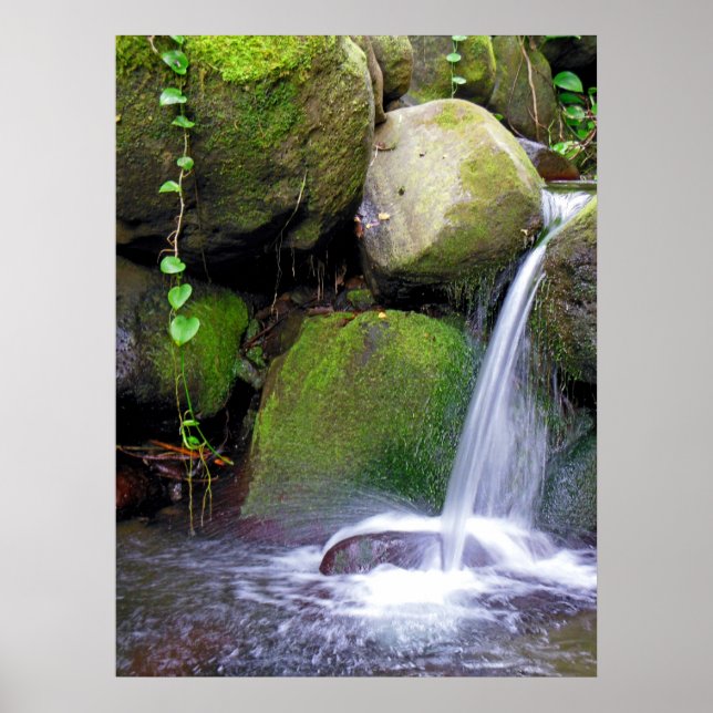 Hawaiian Waterfall Poster (Front)