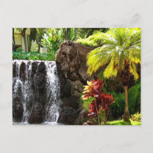 Hawaiian Waterfalls Postcard