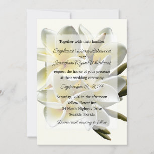 Hawaiian Wedding Frangipani Invitation