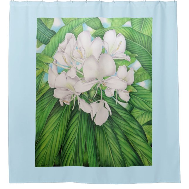 Hawaiian White Ginger (Front)