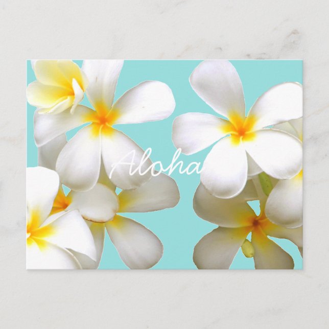Hawaiian white plumeria blue ポストカード postcard (Front)