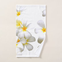 Hawaiian white plumeria flower