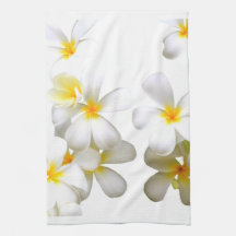 Hawaiian white plumeria flower