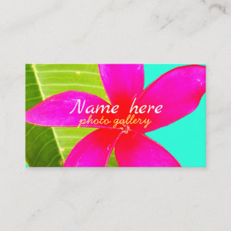 Hawaiian white plumeria flower pink business card