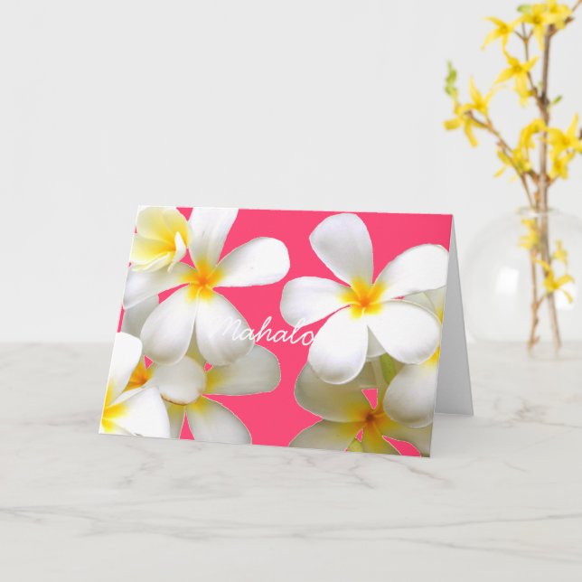 Hawaiian white plumeria greeting card pink (Yellow Flower)