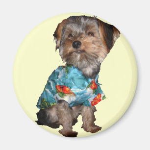 Hawaiian Yorkie Magnet
