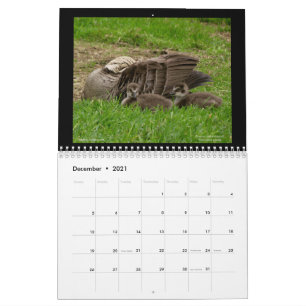 Hawaii's Jewels 2021 Calendar