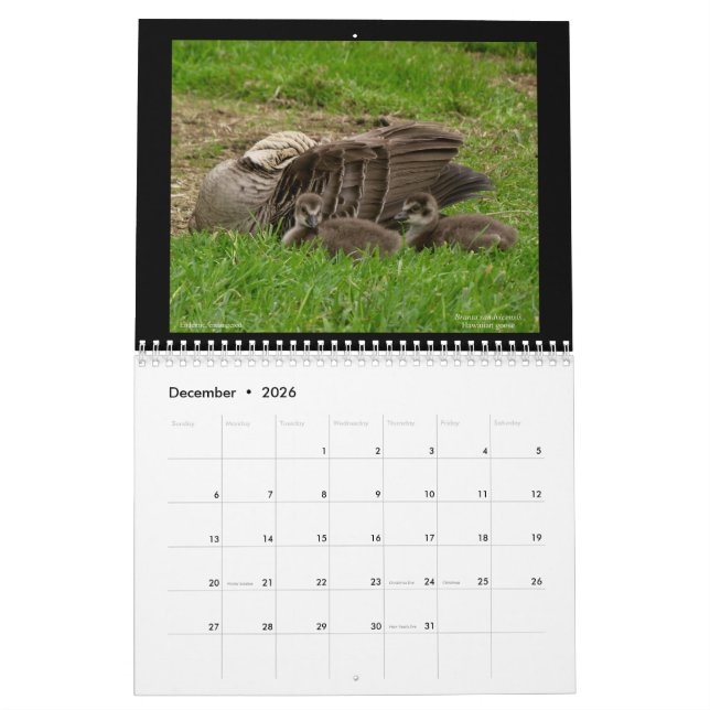 Hawaii's Jewels 2021 Calendar (Dec 2026)