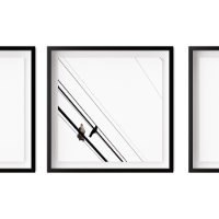 Hawk and Crow on Powerlines