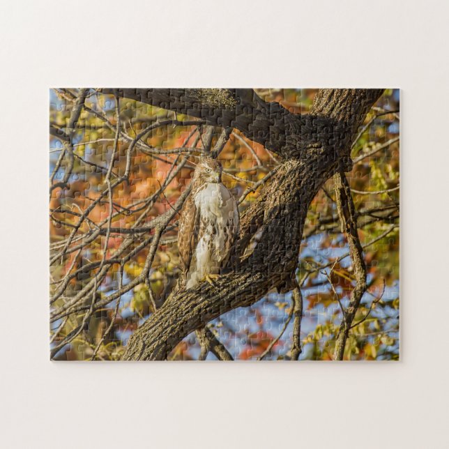 Hawk and Fall Foliage Jigsaw Puzzle (Horizontal)