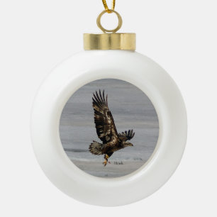Hawk ball or snowflake ornament