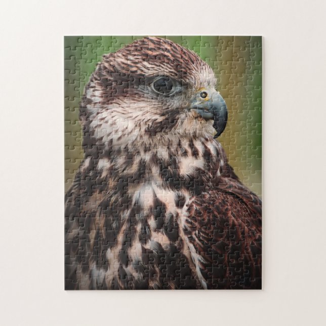 Hawk Bird of Prey Jigsaw Puzzle (Vertical)