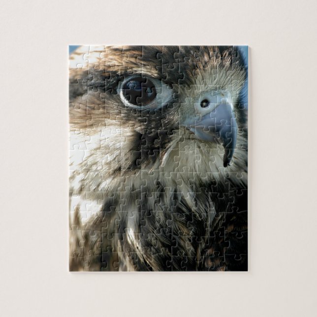 Hawk Eye Jigsaw Puzzle (Vertical)