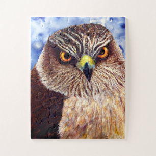 Hawk Eyes Puzzle