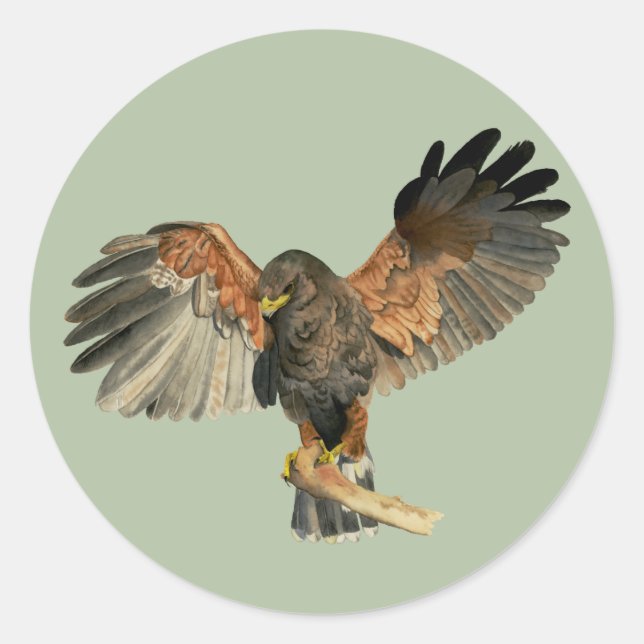 Hawk Flapping Wings Watercolor Painting Classic Round Sticker (Front)