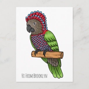 Hawk headed parrot bird cartoon illustration postcard