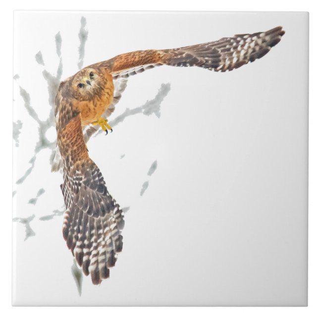 Hawk in Flight Tile (Front)