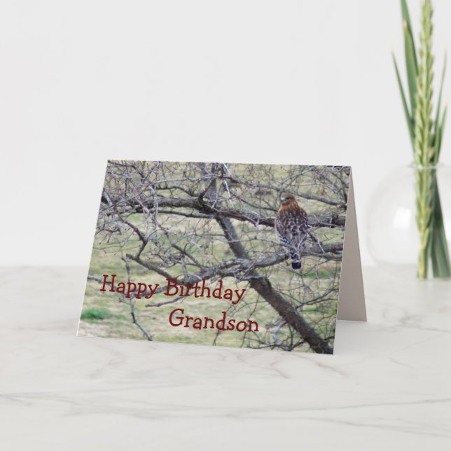 Hawk in tree- customize any occasion card (Front)