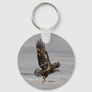 Hawk key chain