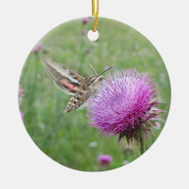 Hawk Moth Ceramic Ornament (Front)