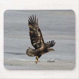 Hawk mouse pad