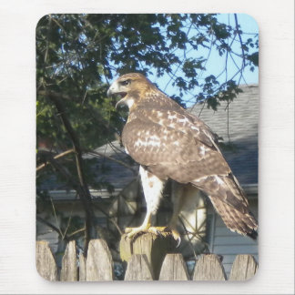 Hawk Mousepad