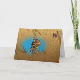 Hawk Notecard